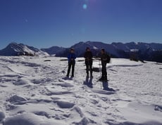 sogni invernali al Waltershof