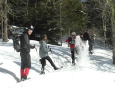 Grüße aus dem Schneeschuh-Genuss-Sonnenstrahle-Land :)