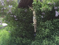 Neues für Wander- und Naturfreunde