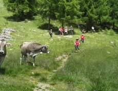 Würzige Wanderung mit Ufer-Marende