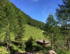 Den Waltershof durch die Augen unserer Gäste gesehen...