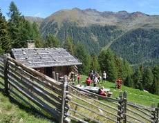 Schnappschüsse aus dem Klapfbergtal...