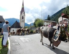 Wehmütiger Abschied vom Sommer...