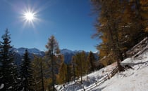 Winter Wunder Land
