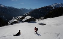 Winter Wunder Land