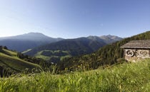 Escursioni