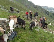 Ulten-Vinschgau und wieder zurück