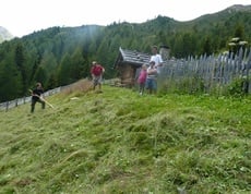 Erholung á la Ultental... Heubad
