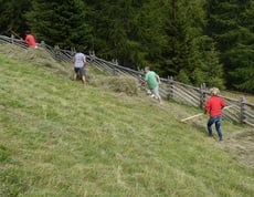 Heuernte im Klapfbergtal