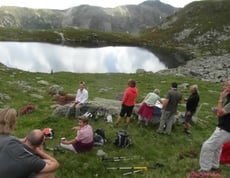 Durch Alpenrosen zur Falkomaialm