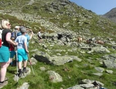 Einmal von Ulten in den Vinschgau und wieder zurück