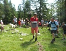 Durch Wald und Wiese bis zum Steinbergl