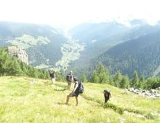 Mit Blick ins Ultental...Gipfeltour zum Nagelstein