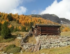 Escursione meravigliosa per tutti!