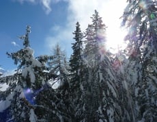 Una giornata incredibile perfetta :)
